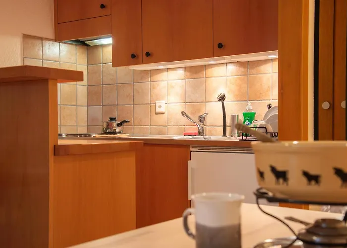 Pied De Piste Et à 5min Des Bains D'hérémence