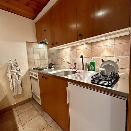 Pied De Piste Et A 5min Des Bains D'heremence Apartment Vex