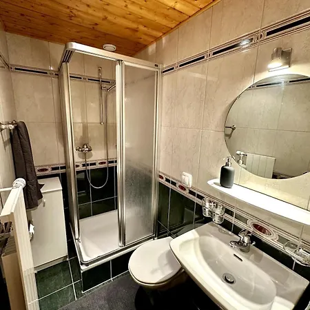 Pied De Piste Et A 5min Des Bains D'heremence Apartment Vex